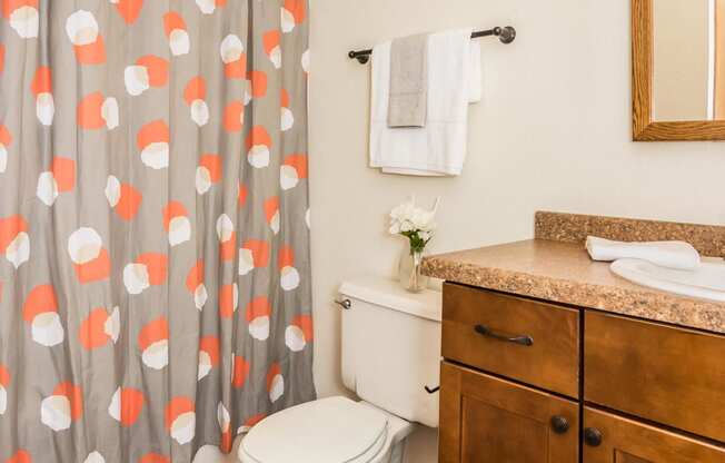 Chandler 1866 Apartments | Bathroom