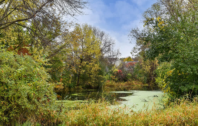Birch Lake Townhomes - Pond