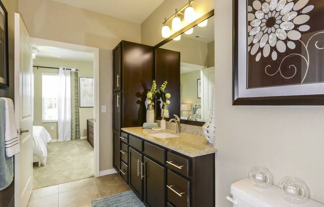 Large Vanities at The Sedona Luxury Apartments in Tampa, FL