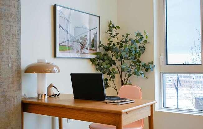 A laptop is on a desk with a plant and a lamp.