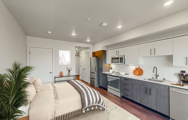 Studio, 1 bath, 400 sqft, $1,995, Unit 307