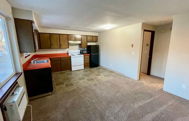 Move-In Ready One-Bedroom with Washer & Dryer!