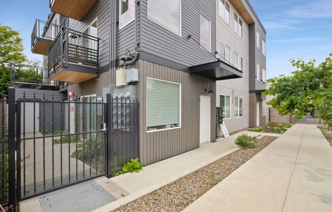 Sunnyside 12