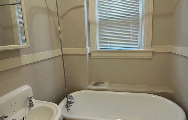 Studio, 1 bath, 265 sqft, $950, Unit 102