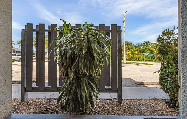 1 bed, 1 bath, 664 sqft, $1,260.42, Unit Unit 35