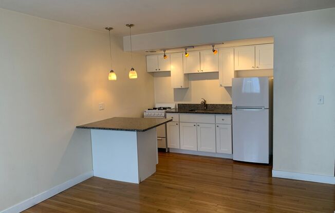 1 bed, 1 bath, $875, Unit 203