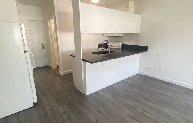 Studio, 1 bath, 390 sqft, $1,875, Unit 306