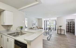 Kitchen with Overhang Counter