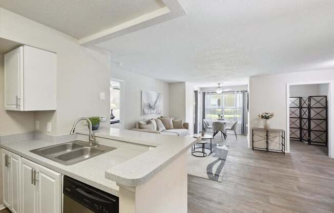 Kitchen with Overhang Counter