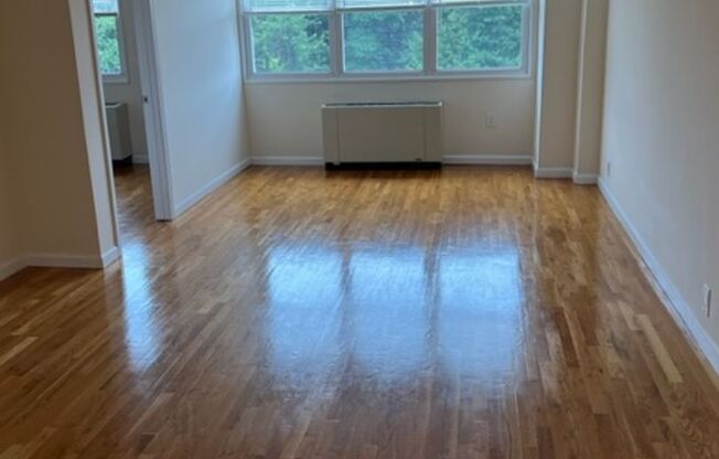 Studio, 1 bath, 580 sqft, $1,495, Unit 5G