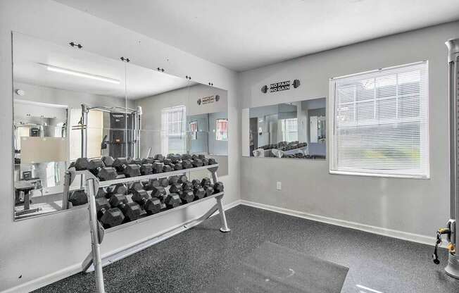 Apartments in Kalamazoo with a gym. Free weights.