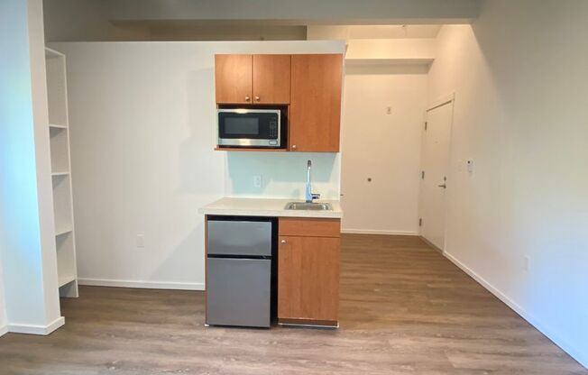 Studio, 1 bath, 175 sqft, $1,450, Unit 4511