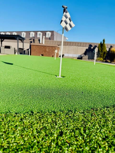 A checkered flag on a pole in the middle of a green field.