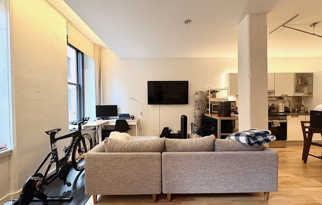 Studio, 1 bath, 641 sqft, $3,500, Unit 210