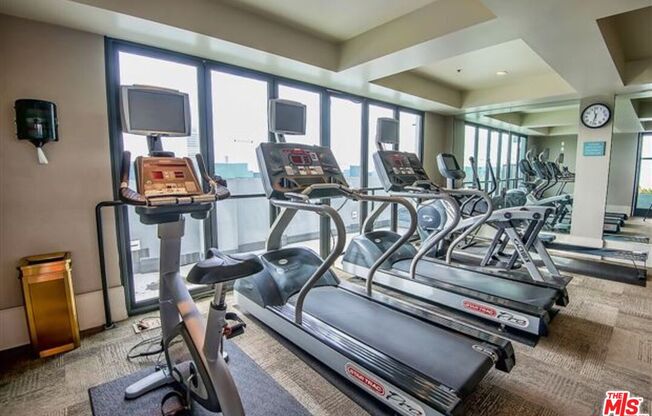 1 bed, 1 bath, 1,190 sqft, $3,200, Unit 310