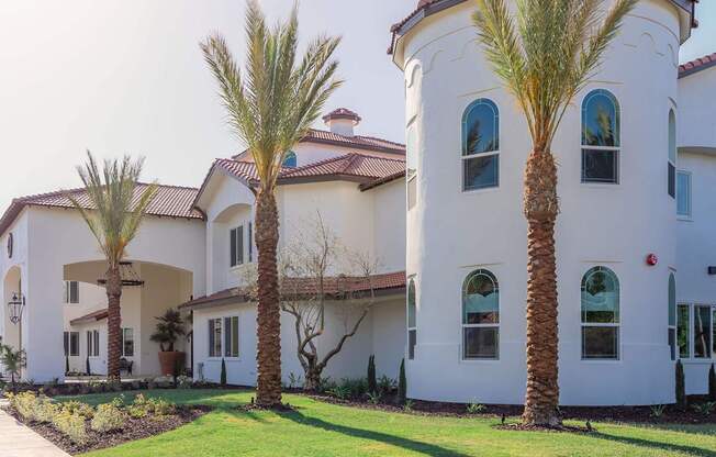 A white house with a palm tree in front.