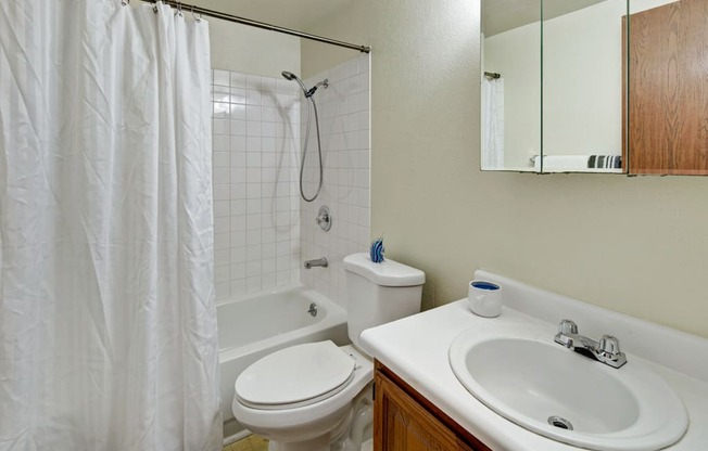Ptarmigan Meadows Bathroom