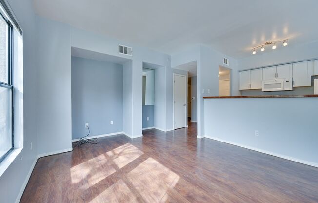 1 bed, 1 bath, $1,300, Unit # 1061