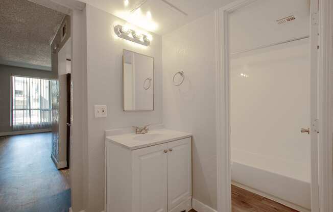 Bathroom Vanity in One Bedroom Unit at Radius