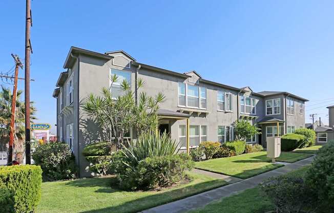 A row of houses with green plants in front.