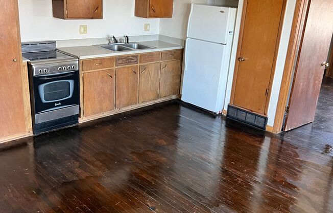 Large 1 Bedroom Apartment with all Hardwood Floors.
