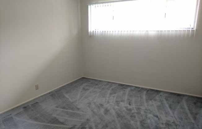 Cute Apartment in Arcadia! Great Location, Schedule A Tour Today!