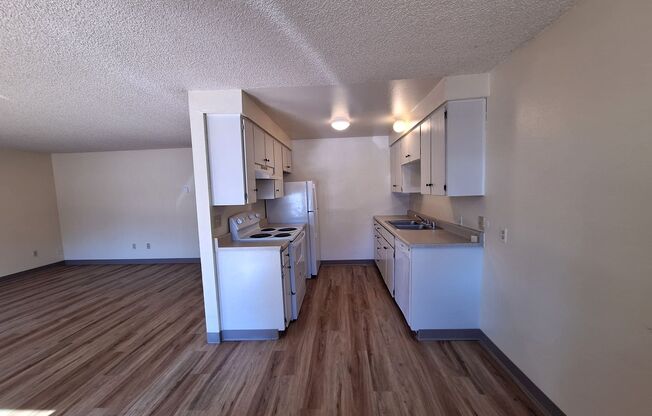 2 beds, 1 bath, $1,500, Unit #1