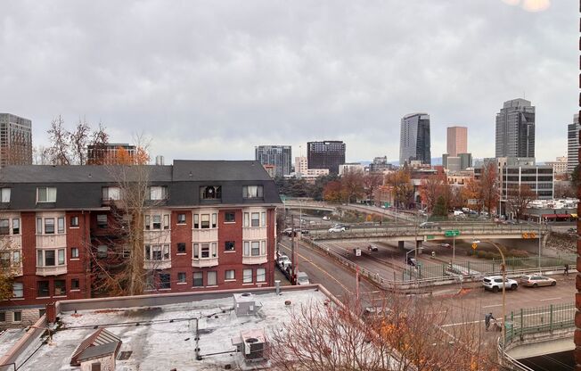 1 bed, 1 bath, 460 sqft, $1,295, Unit 509