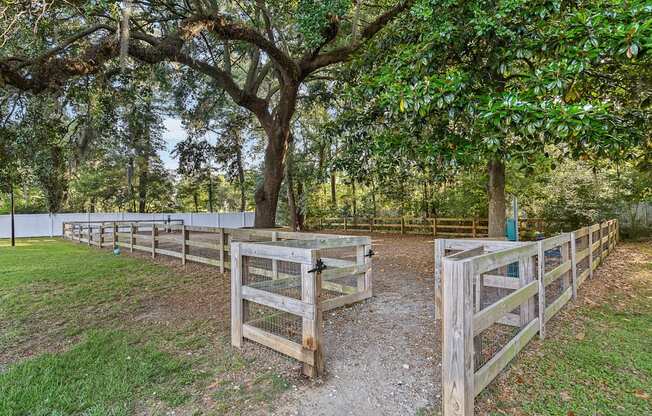 fenced dog park at Ashley River
