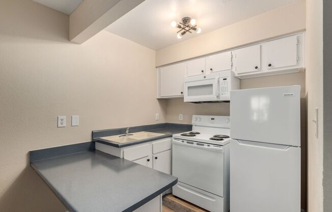 1 bed, 1 bath, 361 sqft, $1,195