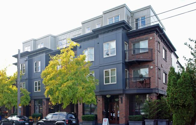 Sun-Filled Queen Anne Condo With Private Entrance