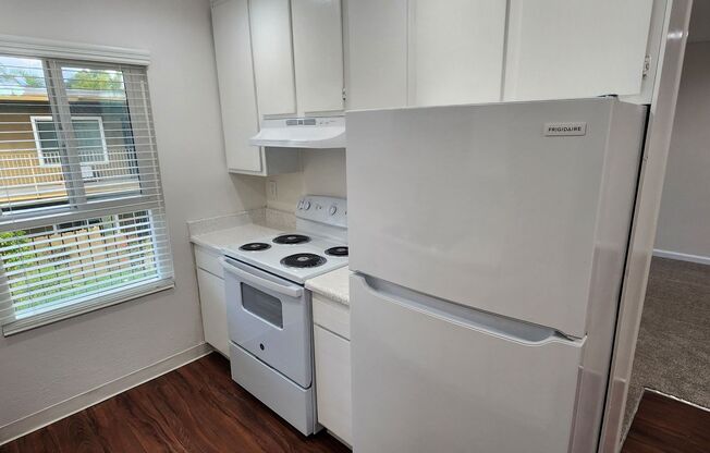 McKenzie - Casa Arguello