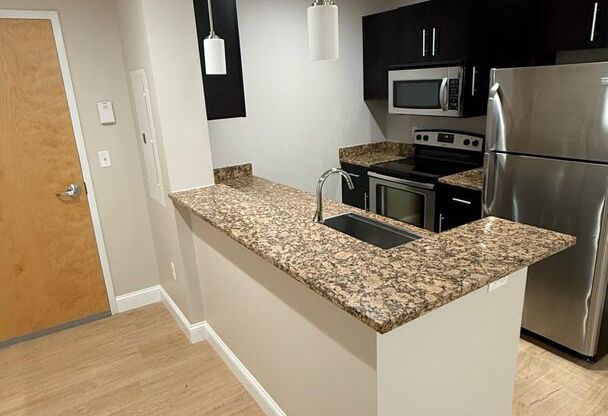 1 bed, 1 bath, 687 sqft, $2,025, Unit 315