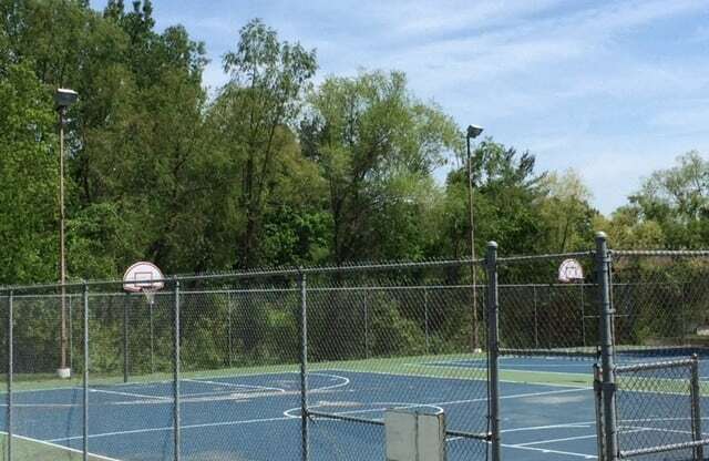 Cottonwood Creek Apartments Basketball Court