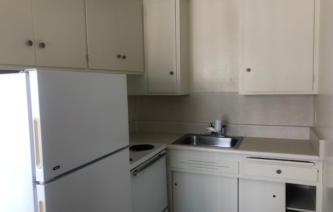 Spacious units in a great location by the RSF, Ellsworth at Haste St. - New Carpet!