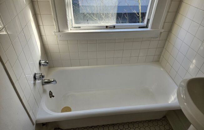 Studio, 1 bath, 337 sqft, $1,179, Unit 23