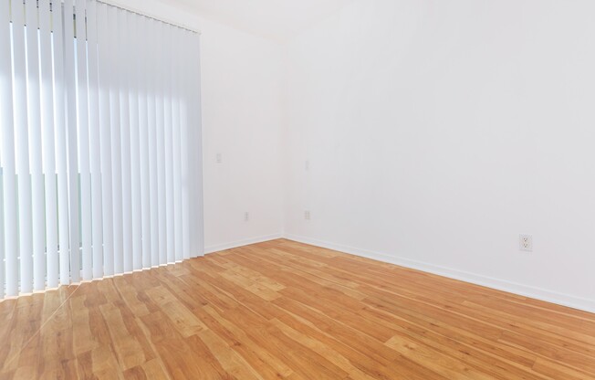 Studio, 1 bath, 220 sqft, $1,500, Unit 317