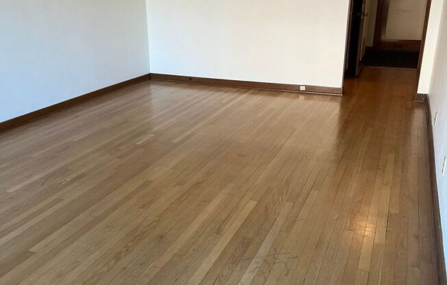 Studio, 1 bath, 582 sqft, $1,525, Unit 203