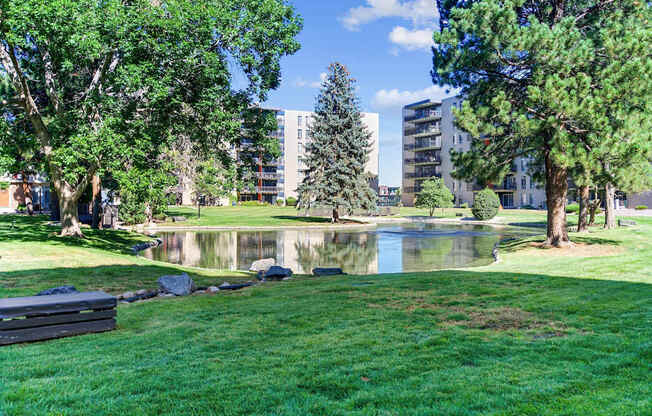 A park with a pond, trees and buildings in the background.