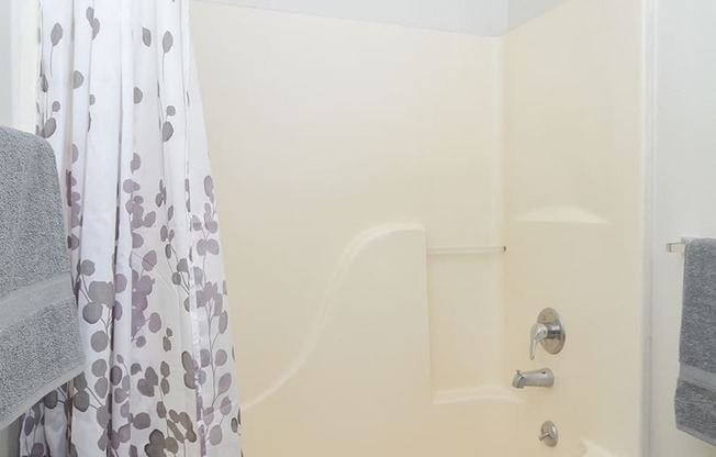 Spacious Shower and Tub