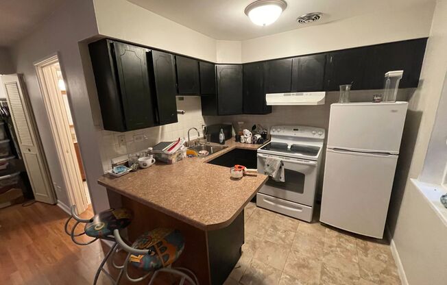 Studio, 1 bath, $1,285, Unit 151