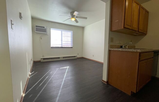 1 bed, 1 bath, 470 sqft, $850, Unit Apt 02