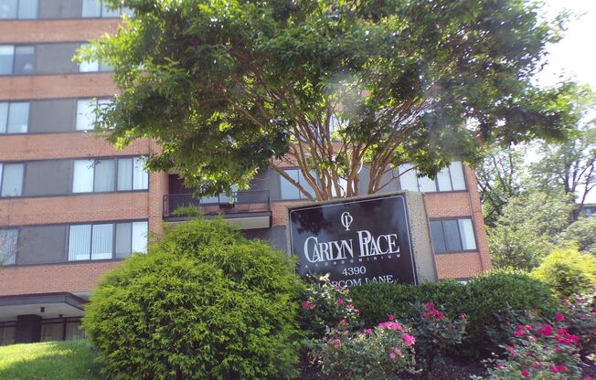Two bedroom Condo at Carlyn Place
