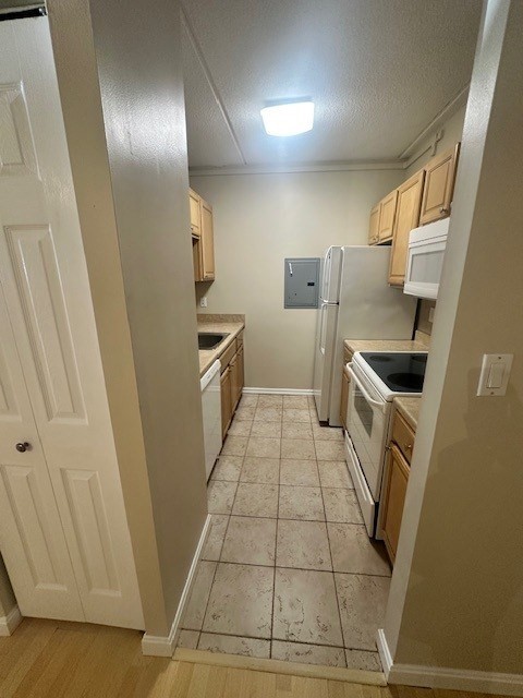 12 16 ELLERY