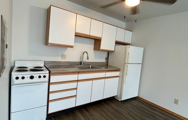 1 bed, 1 bath, 500 sqft, $899
