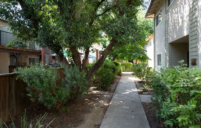 View of exterior buildings, private patio/balcony, and shade trees covering sidewalk