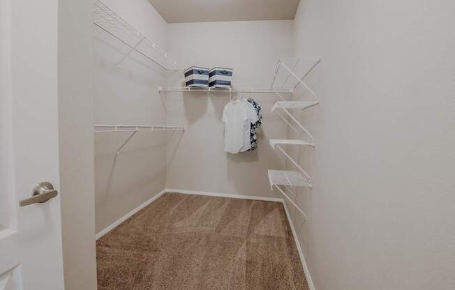 A white closet with a brown carpet and a white door.