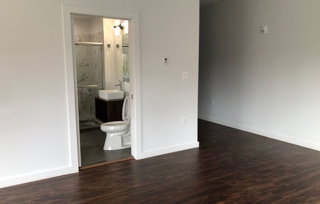 1 bed, 1 bath, 478 sqft, $1,750, Unit 410