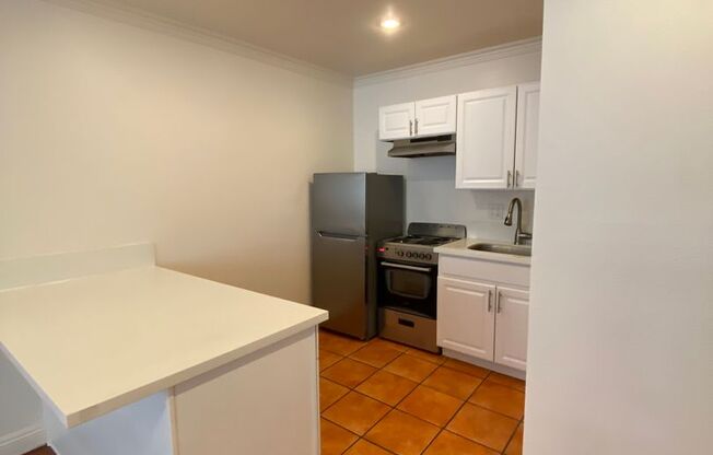 Studio, 1 bath, $1,550, Unit 102