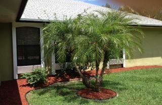 3 beds, 2 baths, $2,800